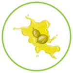 Emblem for Skin Support Module - Balancing Dietary Fat Intake to Improve Skin Surface pH and Improve Skin Health