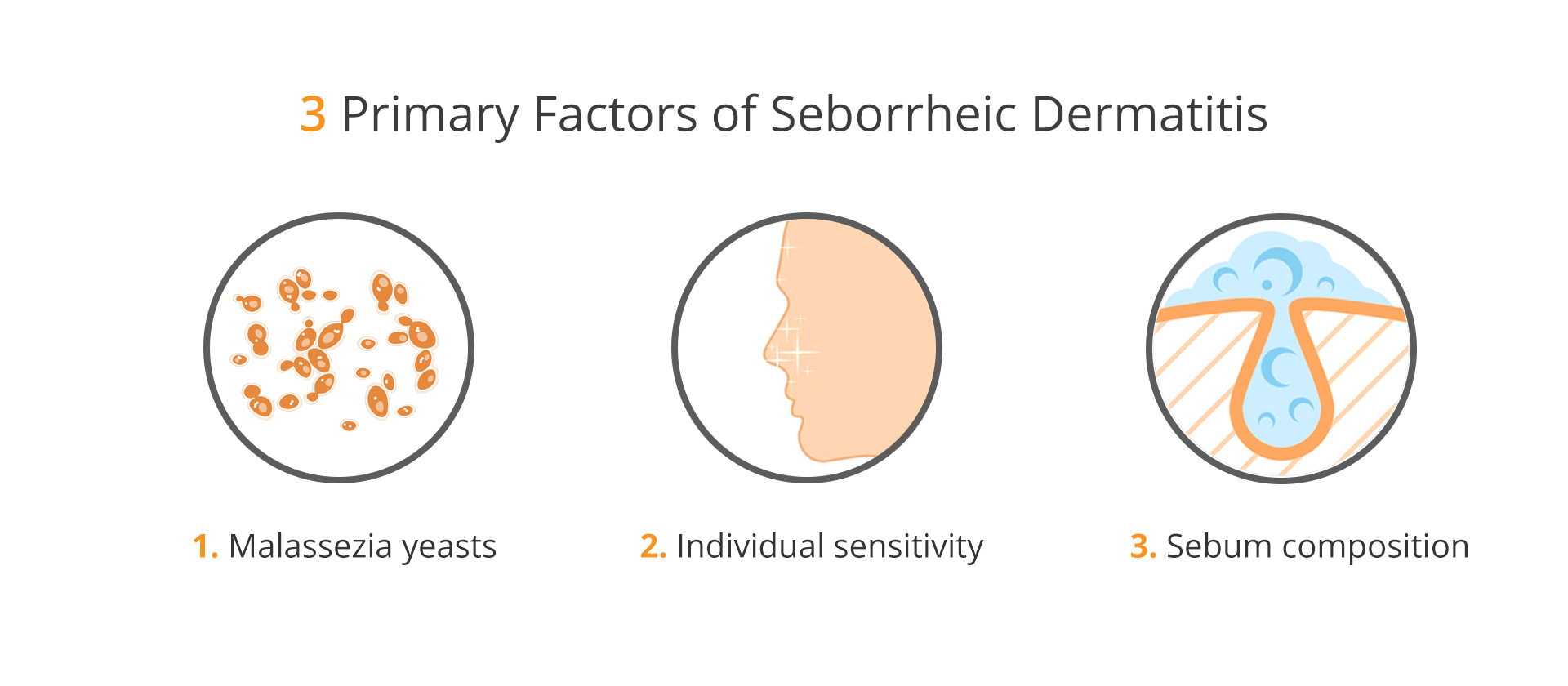 A visual representation of the 3 primary factors of seborrheic dermatitis (malassezia yeasts, individual sensitivity, and sebum composition)